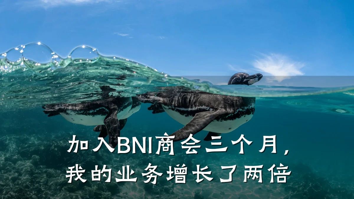 加入BNI商会三个月,我的业务增长了两倍