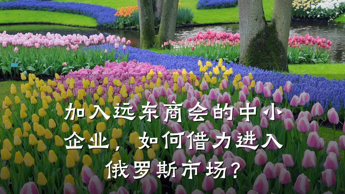 加入远东商会的中小企业,如何借力进入俄罗斯市场?