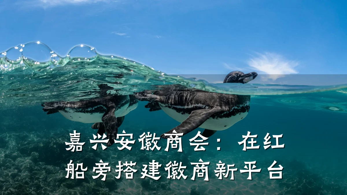 嘉兴安徽商会:在红船旁搭建徽商新平台