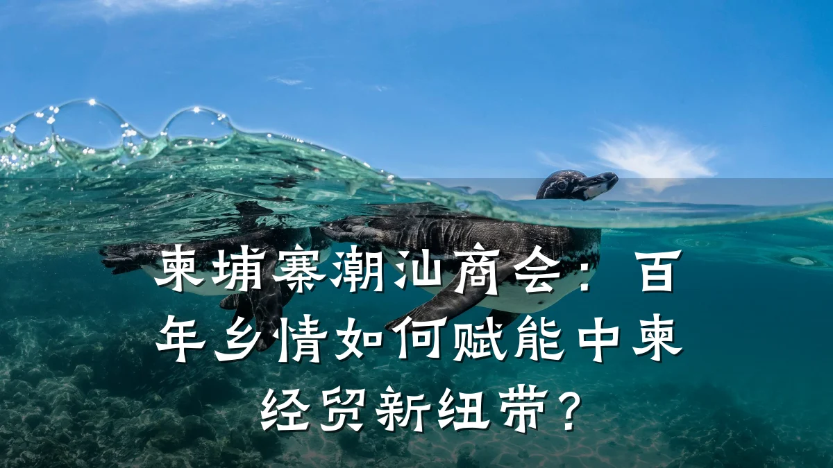 柬埔寨潮汕商会：百年乡情如何赋能中柬经贸新纽带？