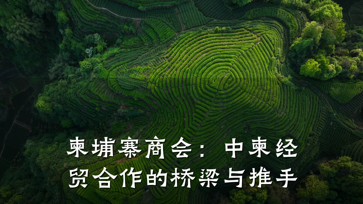 柬埔寨商会：中柬经贸合作的桥梁与推手