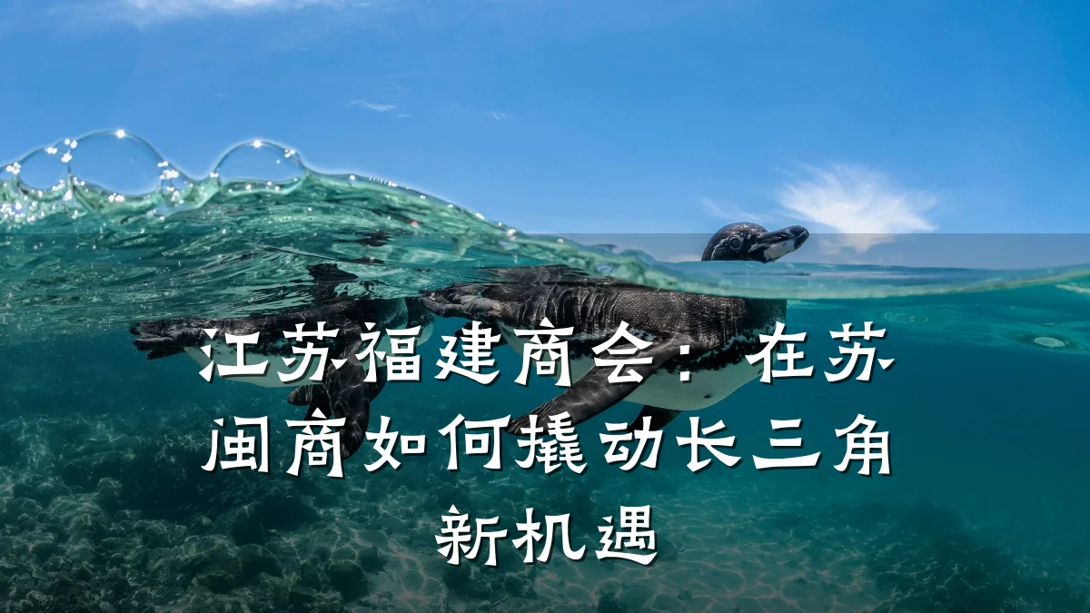 江苏福建商会：在苏闽商如何撬动长三角新机遇