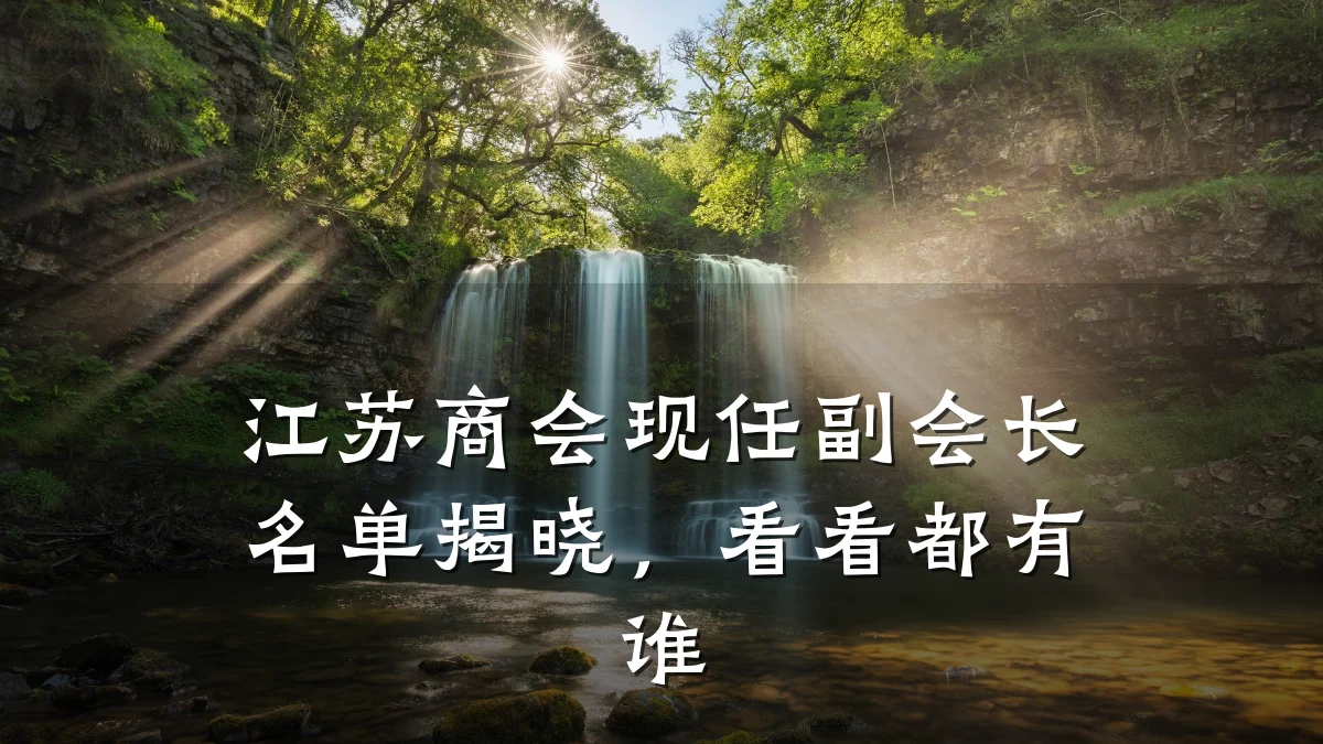 江苏商会现任副会长名单揭晓,看看都有谁