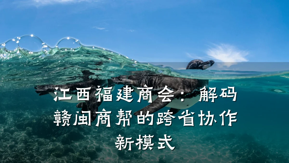 江西福建商会:解码赣闽商帮的跨省协作新模式
