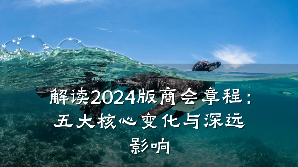 解读2024版商会章程:五大核心变化与深远影响