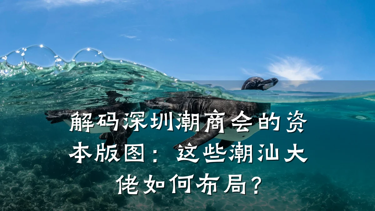解码深圳潮商会的资本版图：这些潮汕大佬如何布局？