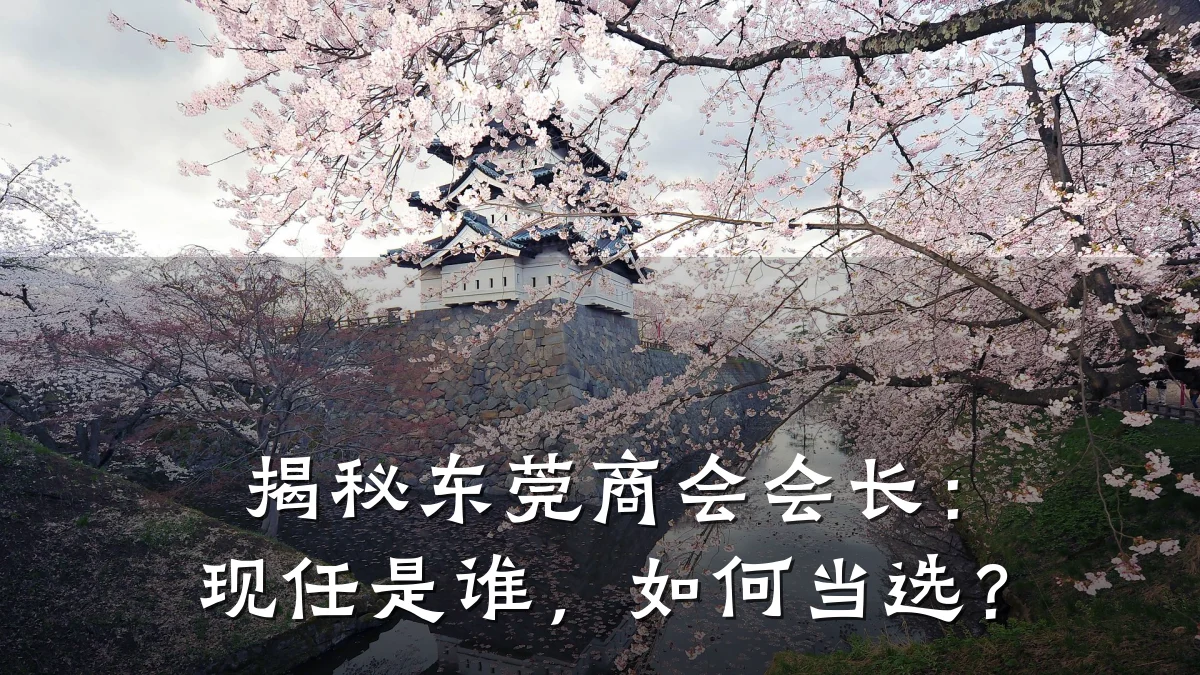 揭秘东莞商会会长：现任是谁，如何当选？
