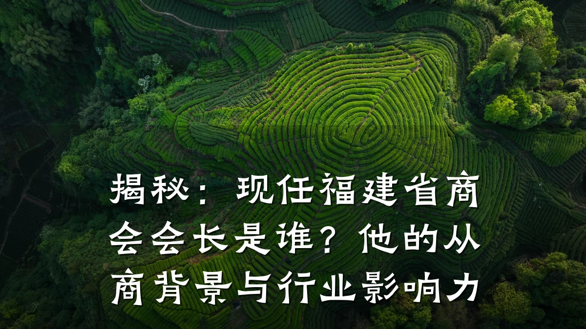 揭秘:现任福建省商会会长是谁?他的从商背景与行业影响力