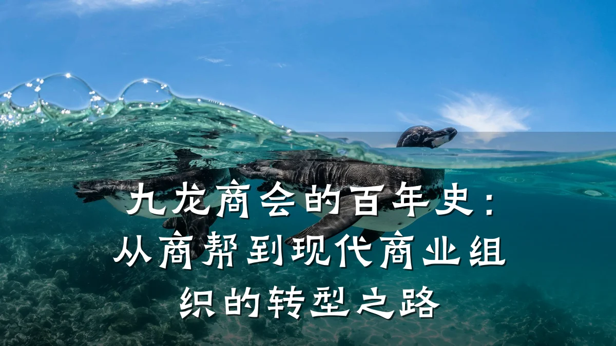 九龙商会的百年史:从商帮到现代商业组织的转型之路