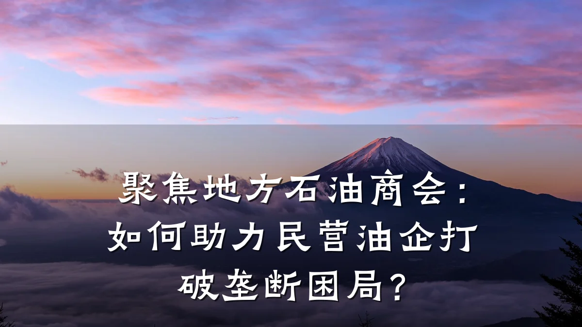 聚焦地方石油商会:如何助力民营油企打破垄断困局?