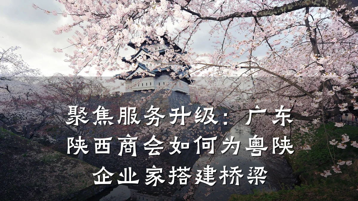 聚焦服务升级:广东陕西商会如何为粤陕企业家搭建桥梁