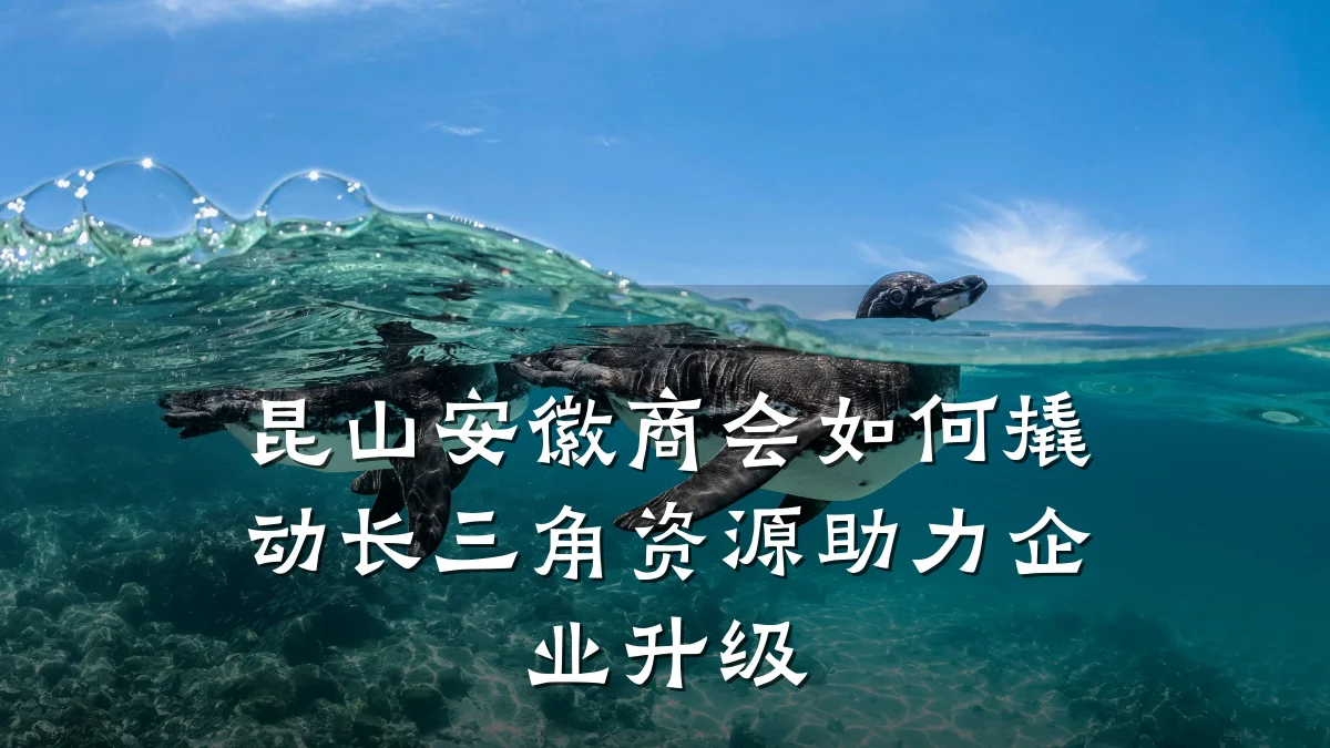 昆山安徽商会如何撬动长三角资源助力企业升级
