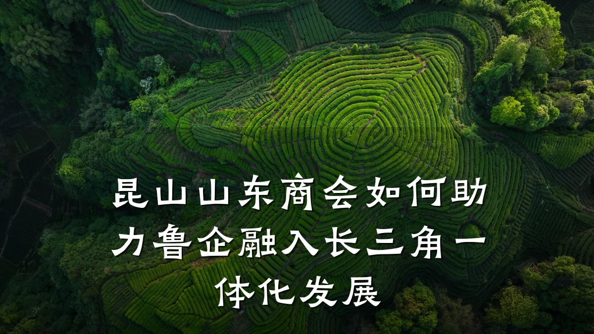 昆山山东商会如何助力鲁企融入长三角一体化发展