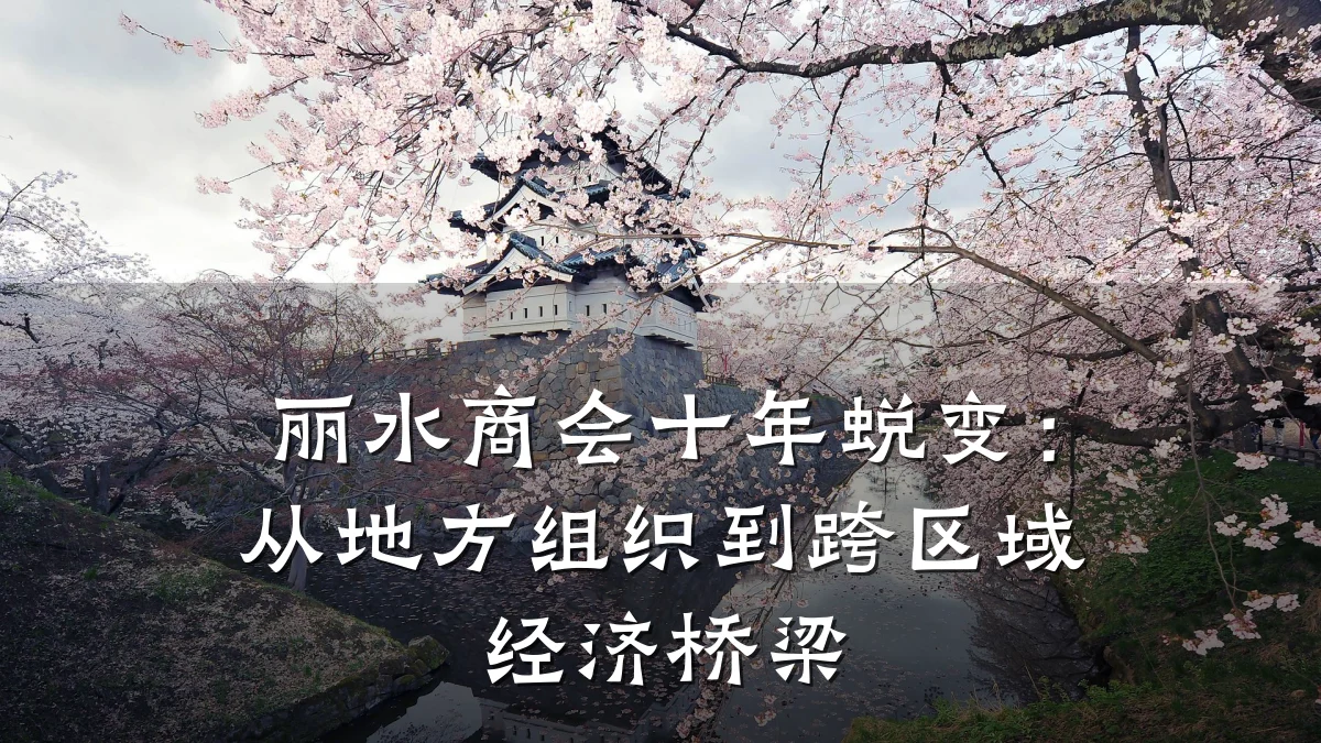 丽水商会十年蜕变:从地方组织到跨区域经济桥梁