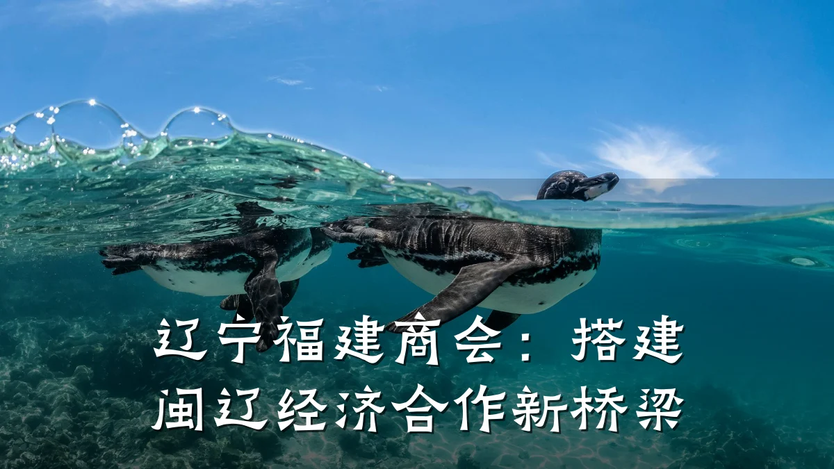 辽宁福建商会:搭建闽辽经济合作新桥梁