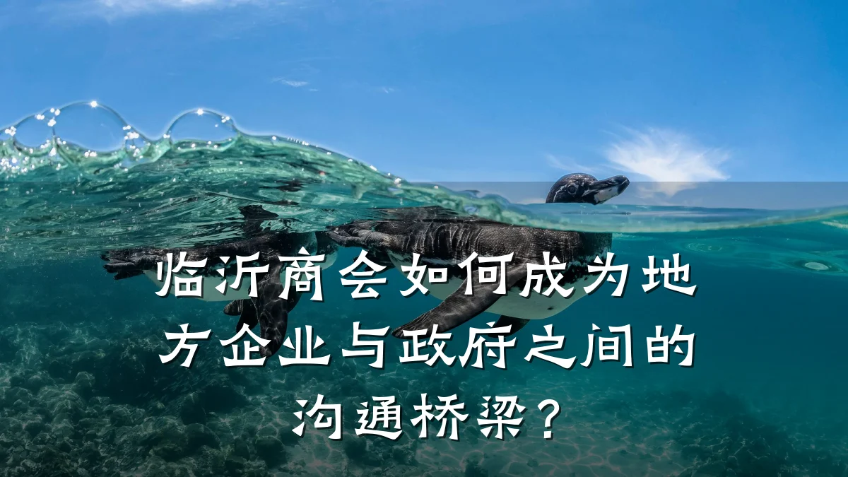 临沂商会如何成为地方企业与政府之间的沟通桥梁？