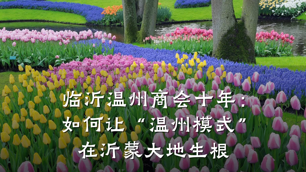 临沂温州商会十年:如何让“温州模式”在沂蒙大地生根
