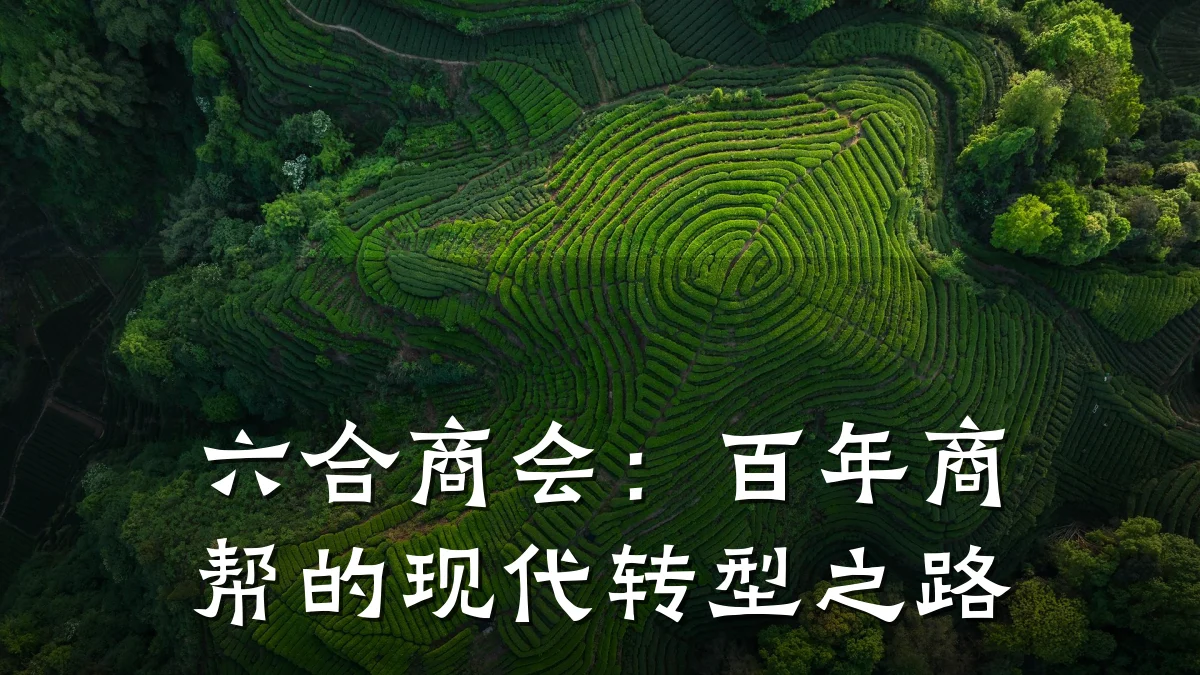 六合商会：百年商帮的现代转型之路