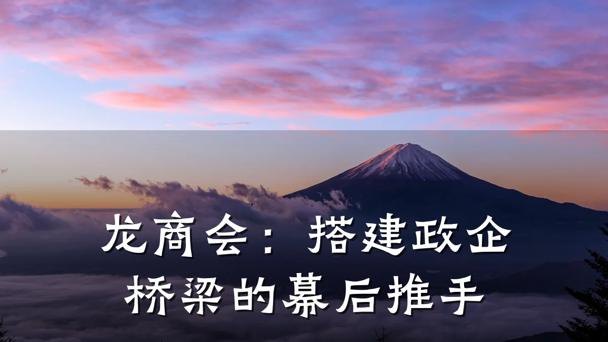 龙商会:搭建政企桥梁的幕后推手