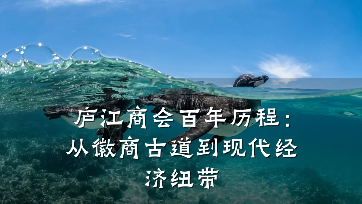 庐江商会百年历程:从徽商古道到现代经济纽带