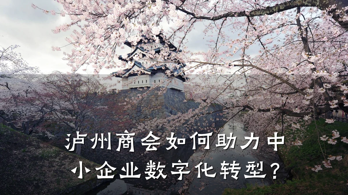 泸州商会如何助力中小企业数字化转型？