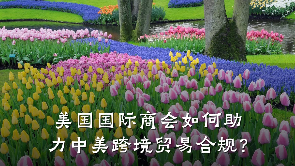 美国国际商会如何助力中美跨境贸易合规?