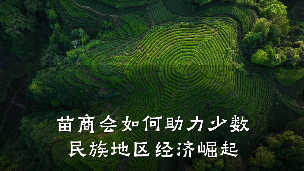 苗商会如何助力少数民族地区经济崛起