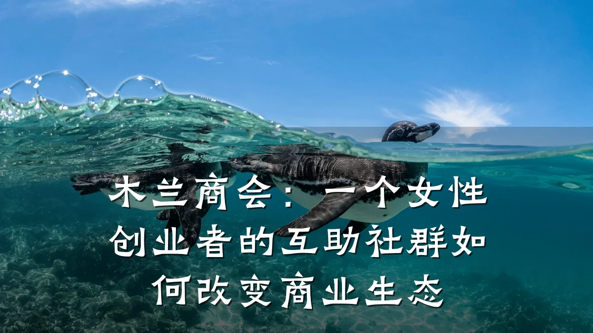 木兰商会:一个女性创业者的互助社群如何改变商业生态