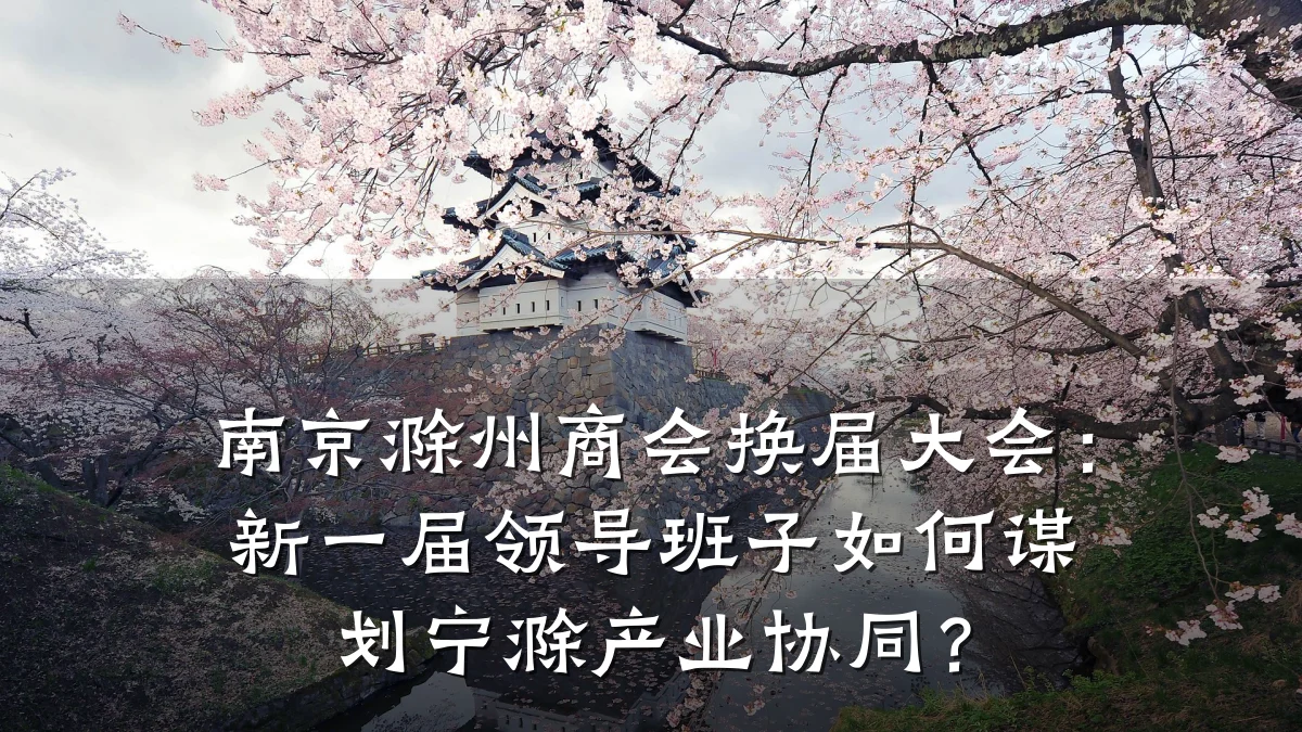 南京滁州商会换届大会:新一届领导班子如何谋划宁滁产业协同?