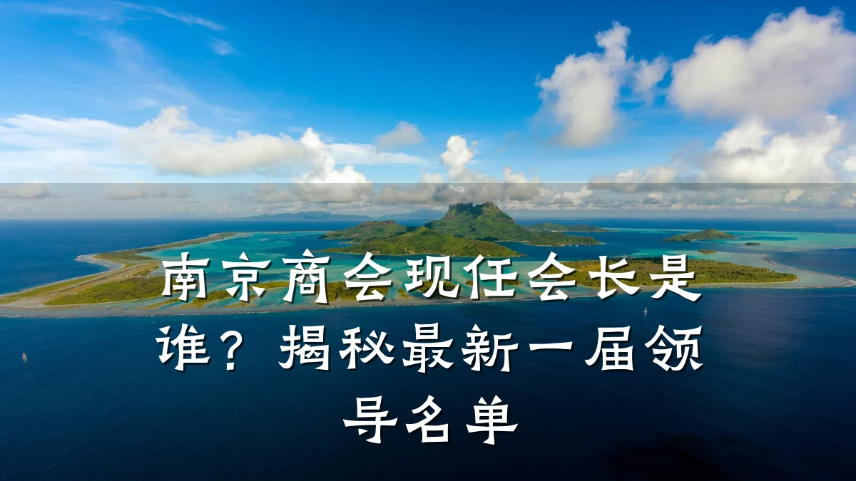 南京商会现任会长是谁?揭秘最新一届领导名单