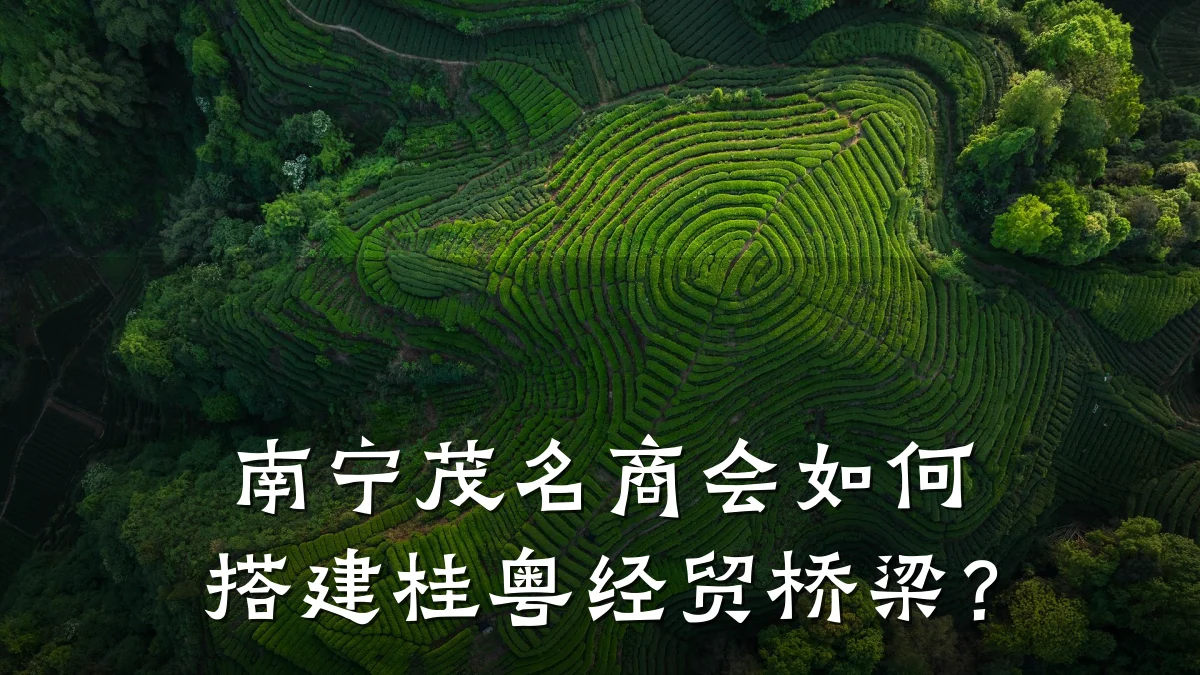 南宁茂名商会如何搭建桂粤经贸桥梁?