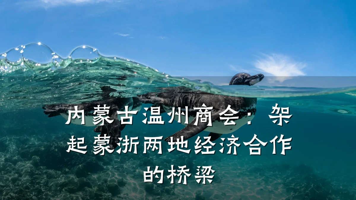内蒙古温州商会:架起蒙浙两地经济合作的桥梁