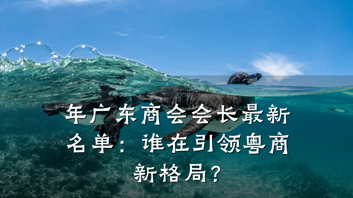 年广东商会会长最新名单:谁在引领粤商新格局?