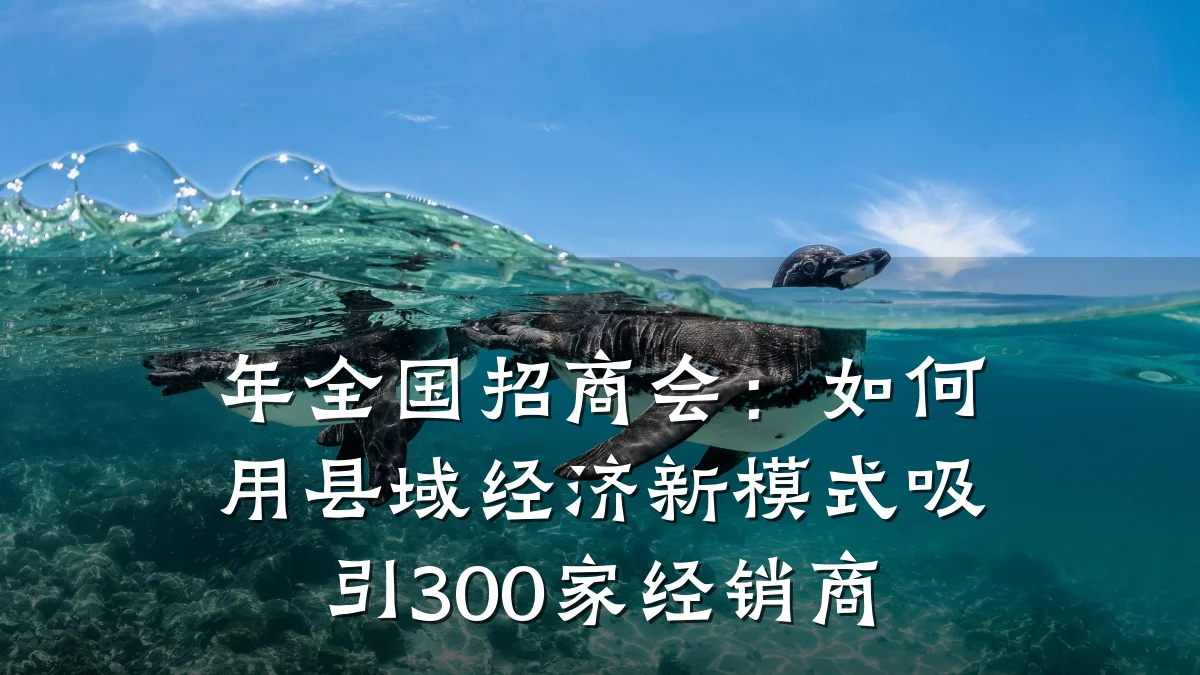 年全国招商会:如何用县域经济新模式吸引300家经销商