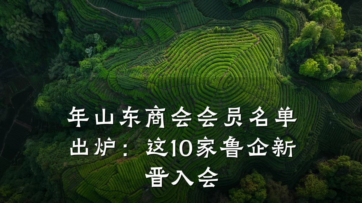 年山东商会会员名单出炉:这10家鲁企新晋入会