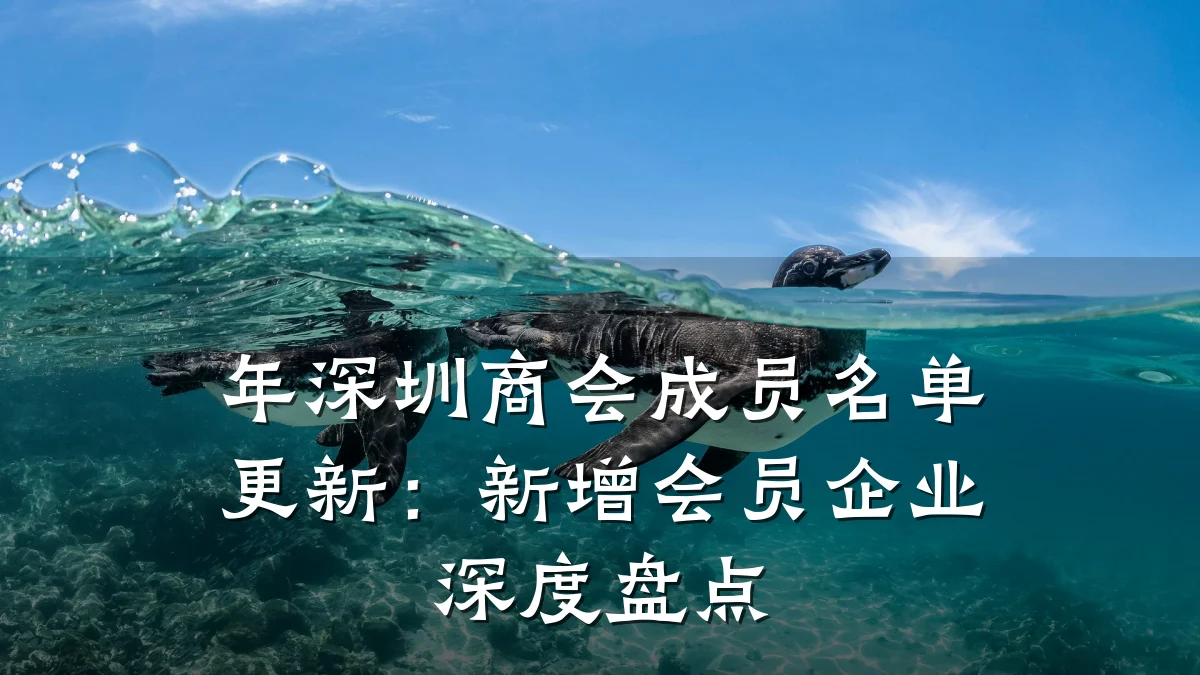 年深圳商会成员名单更新:新增会员企业深度盘点
