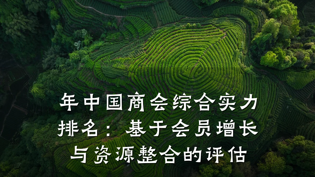 年中国商会综合实力排名:基于会员增长与资源整合的评估