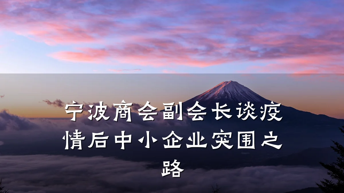 宁波商会副会长谈疫情后中小企业突围之路