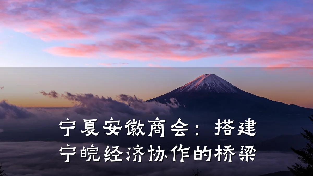 宁夏安徽商会:搭建宁皖经济协作的桥梁
