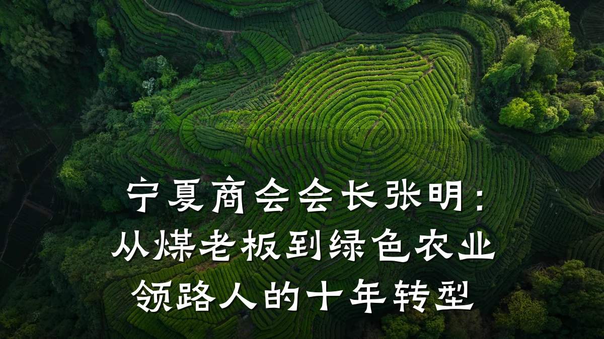 宁夏商会会长张明:从煤老板到绿色农业领路人的十年转型