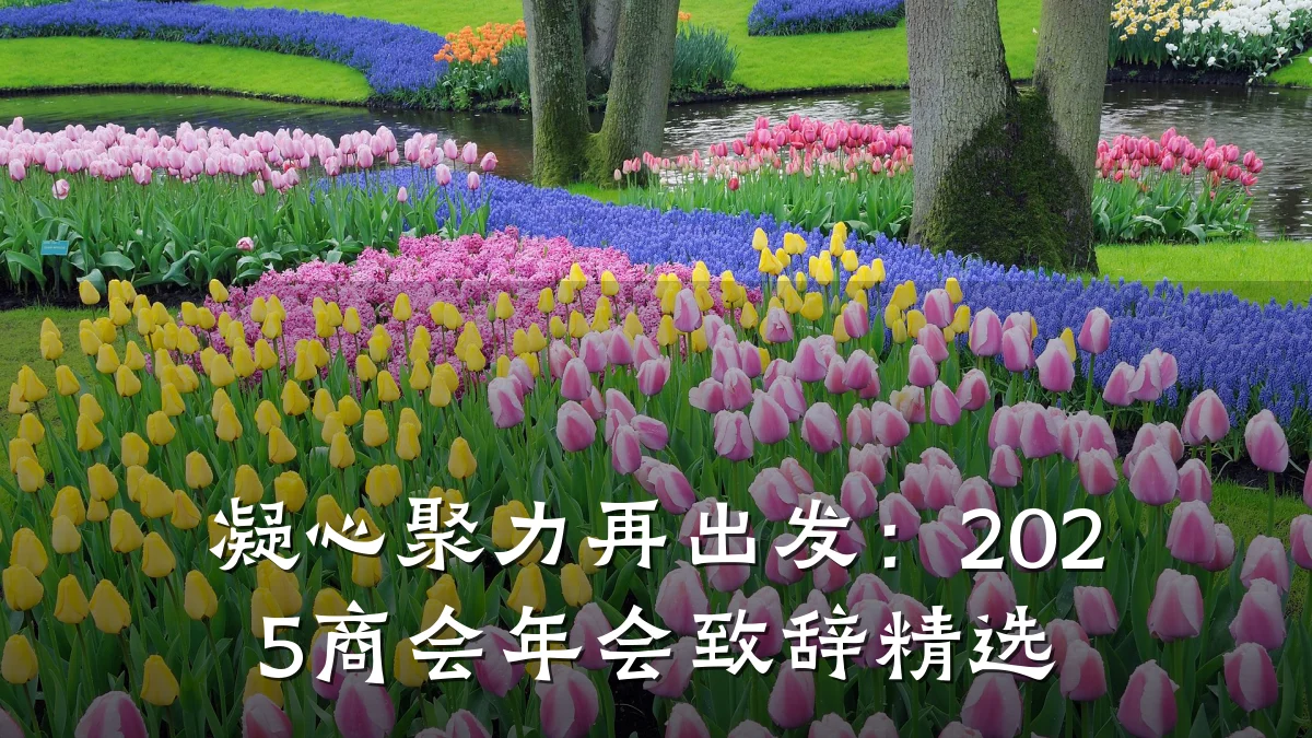 凝心聚力再出发:2025商会年会致辞精选