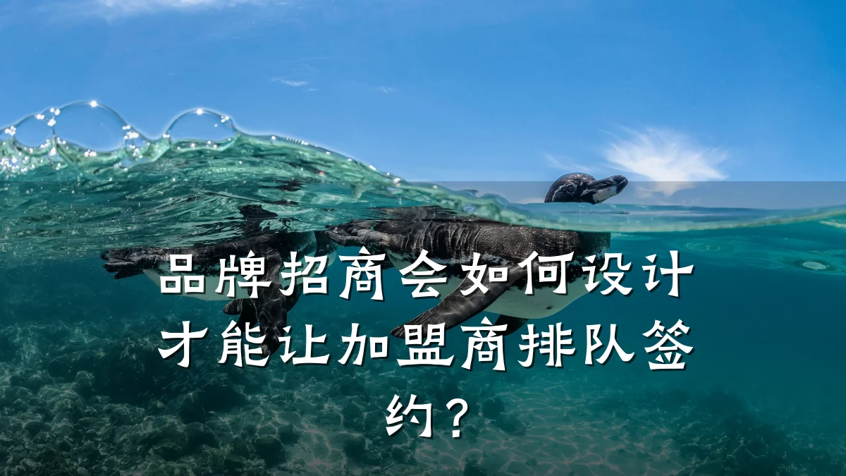 品牌招商会如何设计才能让加盟商排队签约?