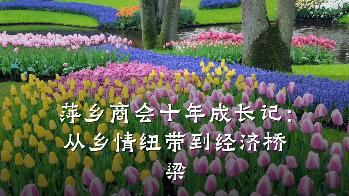 萍乡商会十年成长记:从乡情纽带到经济桥梁