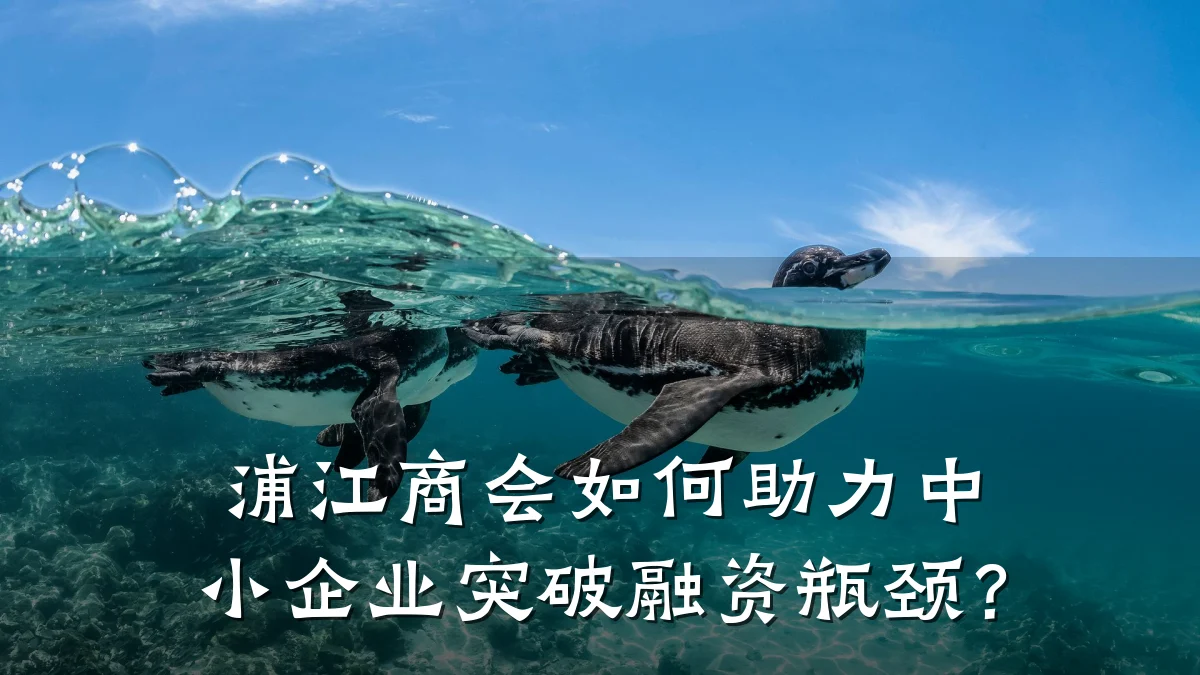 浦江商会如何助力中小企业突破融资瓶颈?
