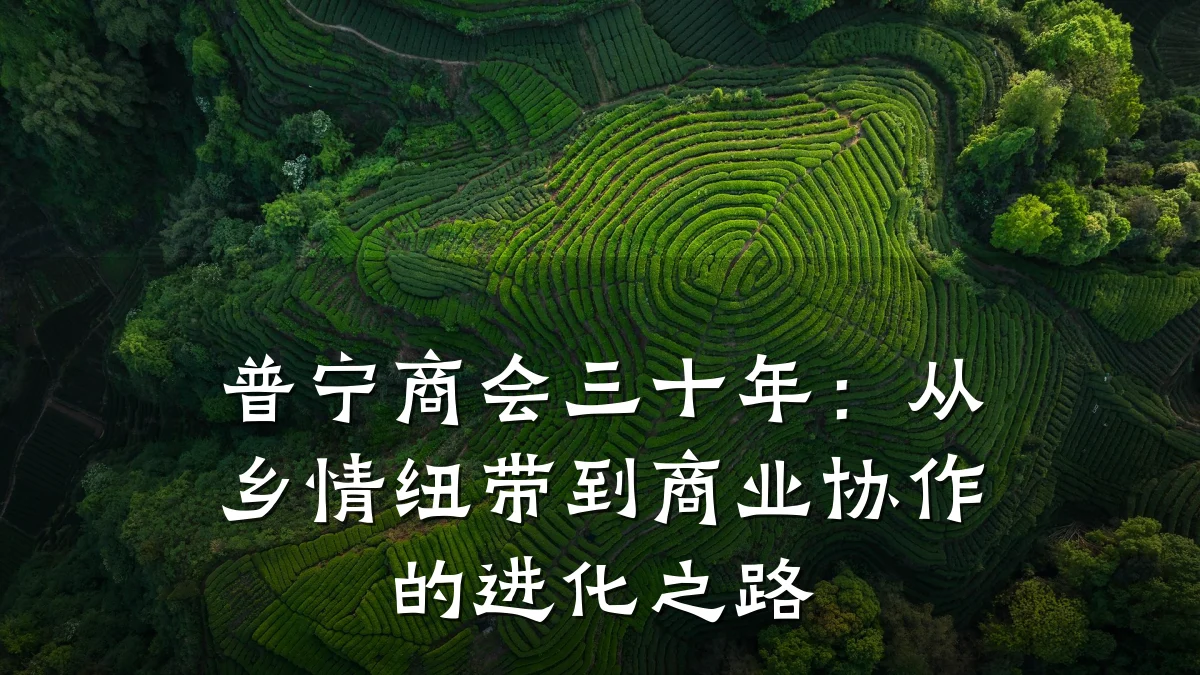 普宁商会三十年:从乡情纽带到商业协作的进化之路