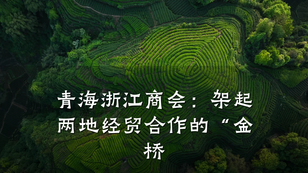 青海浙江商会:架起两地经贸合作的“金桥