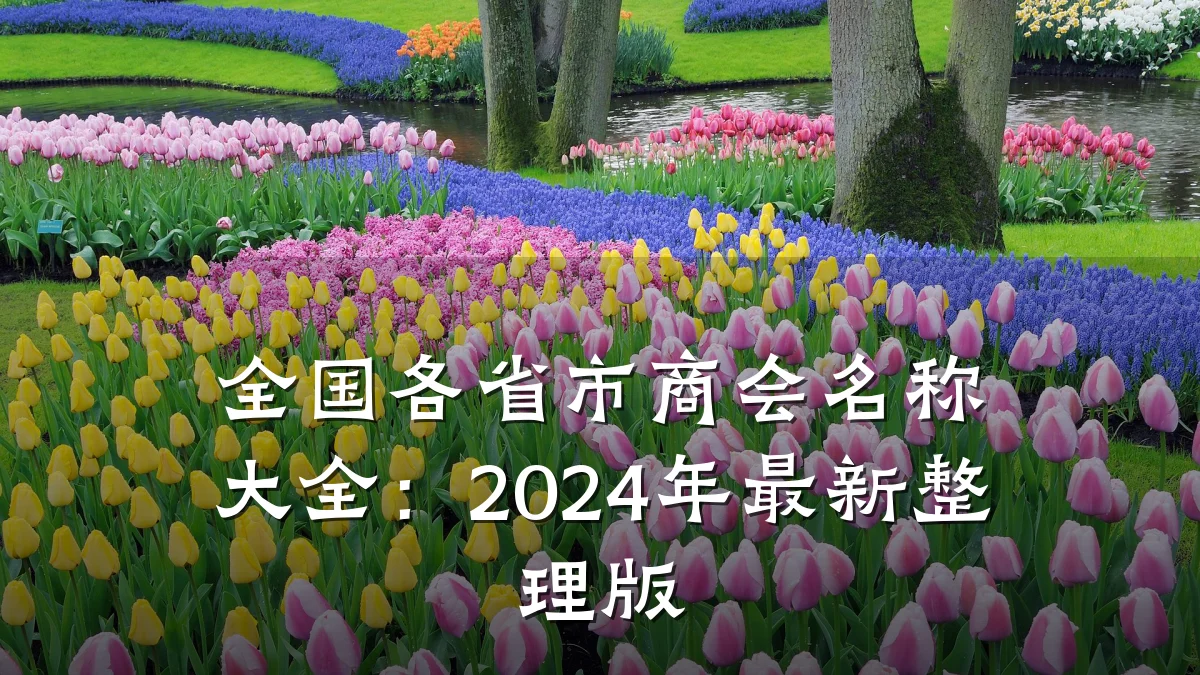 全国各省市商会名称大全:2024年最新整理版
