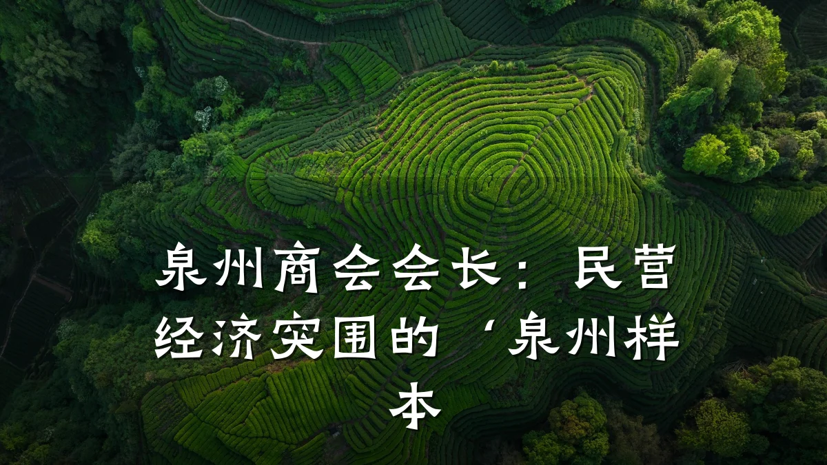 泉州商会会长:民营经济突围的‘泉州样本