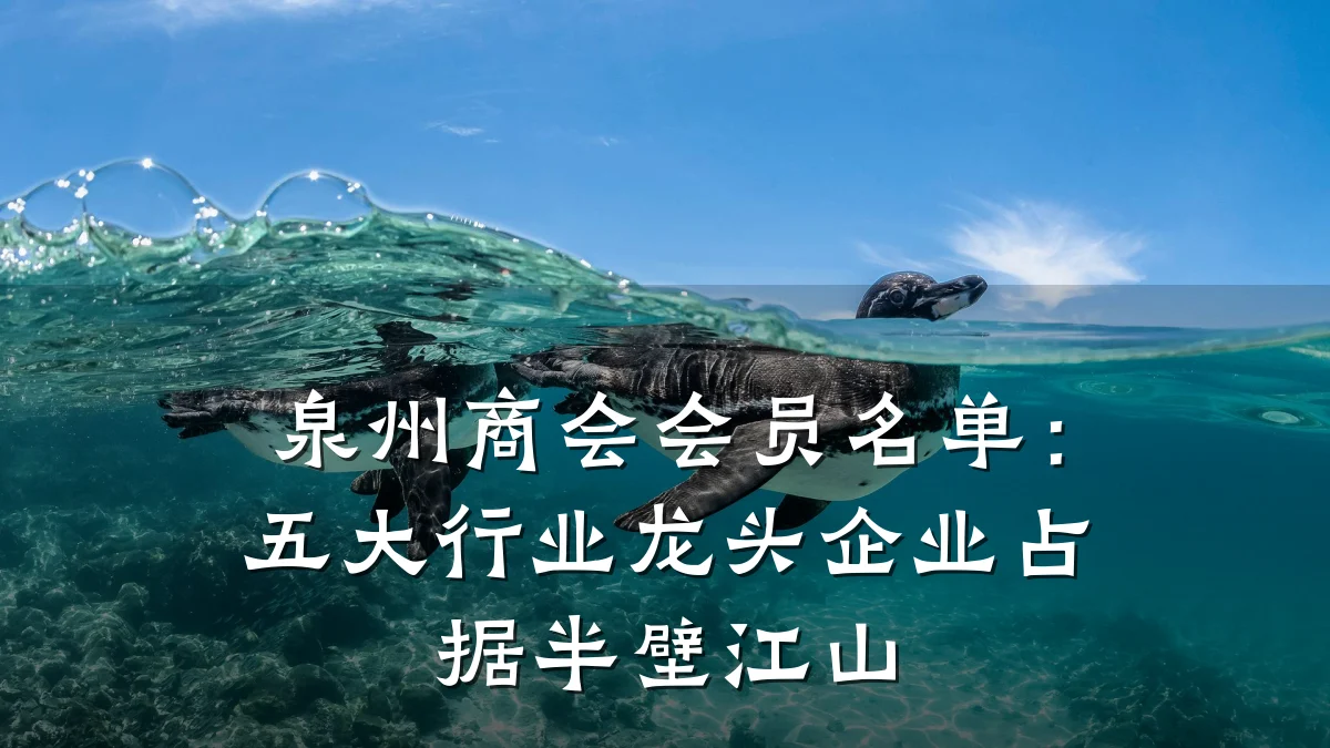 泉州商会会员名单:五大行业龙头企业占据半壁江山