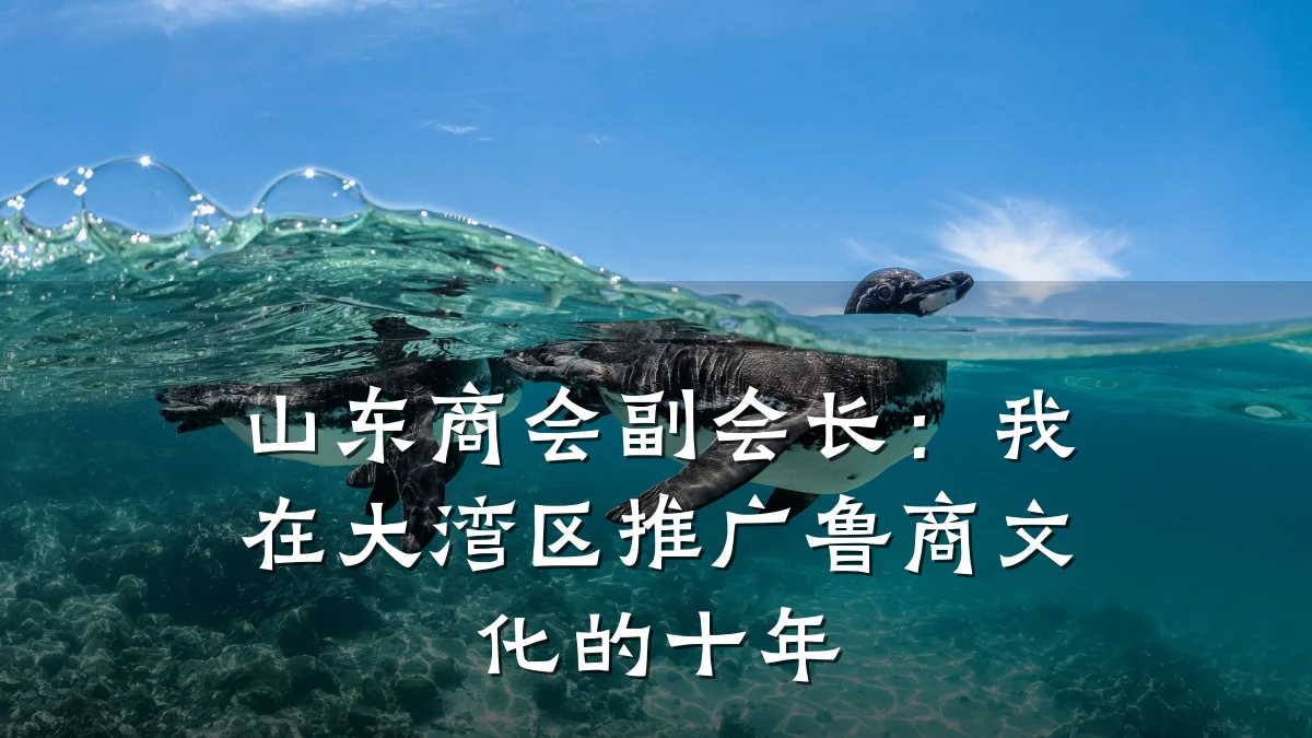 山东商会副会长:我在大湾区推广鲁商文化的十年